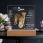 TO MY AMAZING SON KEEPSAKE LED NIGHT LIGHT UP LAMP ACRYLIC PLAQUE LIONESS