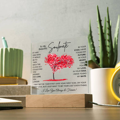 TO MY SOULMATE LED NIGHT LIGHT UP LAMP ACRYLIC PLAQUE