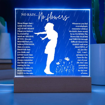 NO RAIN NO FLOWERS KEEPSAKE LED NIGHT  LIGHT UP LAMP ACRYLIC PLAQUE