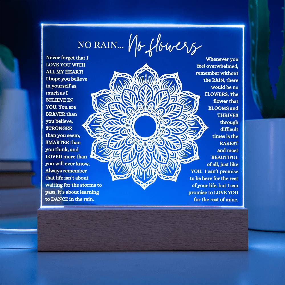NO RAIN NO FLOWERS KEEPSAKE LED NIGHT LIGHT UP LAMP ACRYLIC PLAQUE