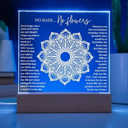 NO RAIN NO FLOWERS KEEPSAKE LED NIGHT LIGHT UP LAMP ACRYLIC PLAQUE