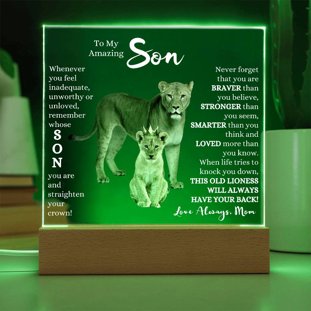 TO MY AMAZING SON KEEPSAKE LED NIGHT LIGHT UP LAMP ACRYLIC PLAQUE LIONESS
