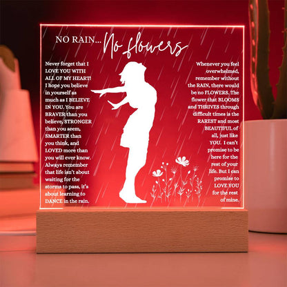NO RAIN NO FLOWERS KEEPSAKE LED NIGHT  LIGHT UP LAMP ACRYLIC PLAQUE