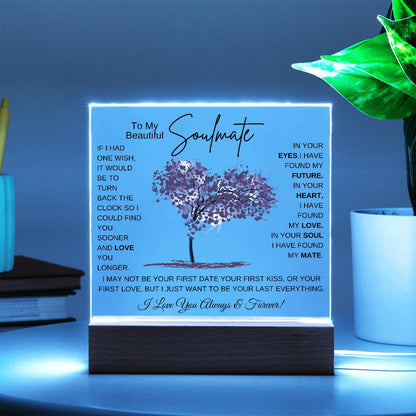 TO MY SOULMATE LED NIGHT LIGHT UP LAMP ACRYLIC PLAQUE
