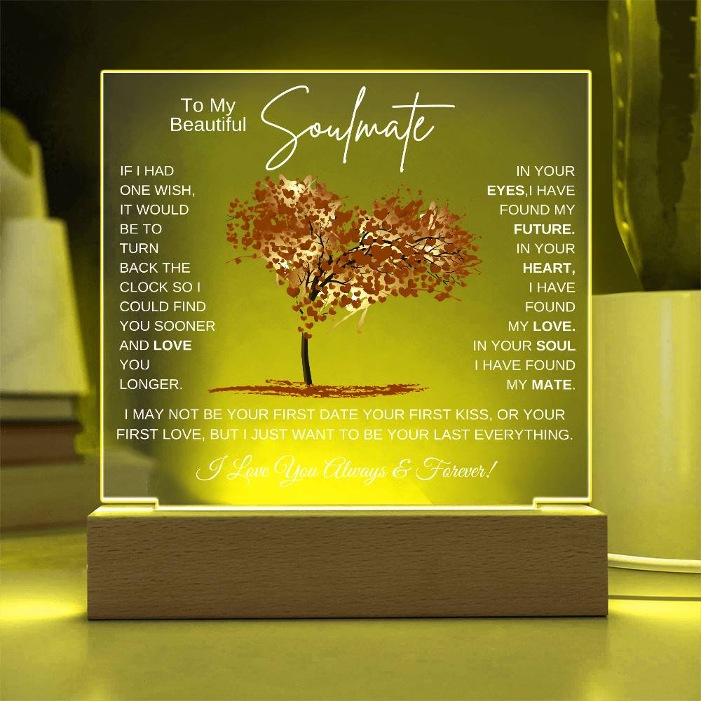 TO MY SOULMATE LED NIGHT LIGHT UP LAMP ACRYLIC PLAQUE