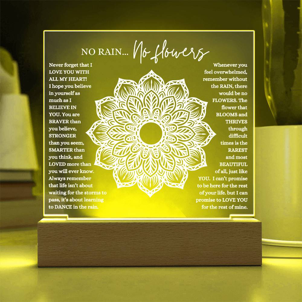 NO RAIN NO FLOWERS KEEPSAKE LED NIGHT LIGHT UP LAMP ACRYLIC PLAQUE