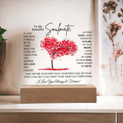 TO MY SOULMATE LED NIGHT LIGHT UP LAMP ACRYLIC PLAQUE