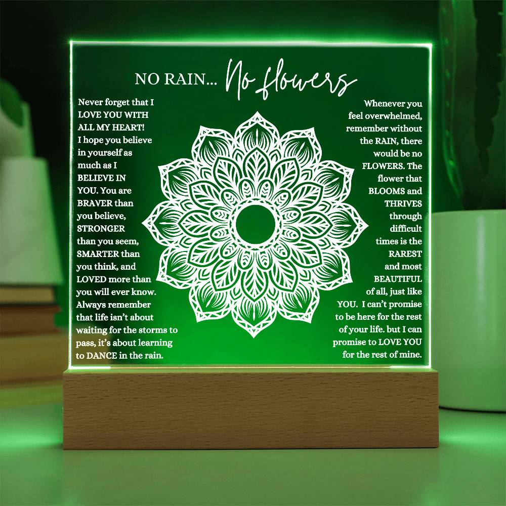 NO RAIN NO FLOWERS KEEPSAKE LED NIGHT LIGHT UP LAMP ACRYLIC PLAQUE