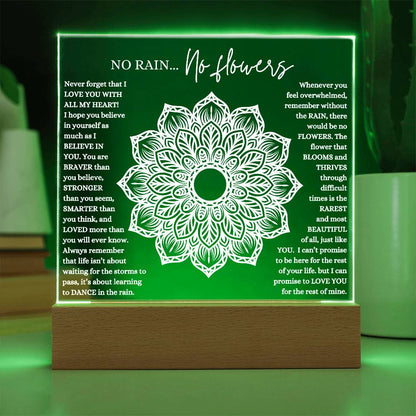 NO RAIN NO FLOWERS KEEPSAKE LED NIGHT LIGHT UP LAMP ACRYLIC PLAQUE