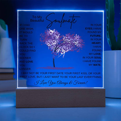 TO MY SOULMATE LED NIGHT LIGHT UP LAMP ACRYLIC PLAQUE