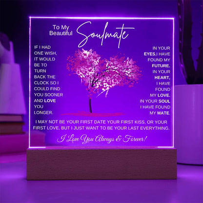 TO MY SOULMATE LED NIGHT LIGHT UP LAMP ACRYLIC PLAQUE