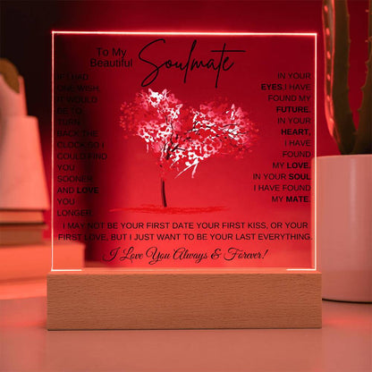 TO MY SOULMATE LED NIGHT LIGHT UP LAMP ACRYLIC PLAQUE
