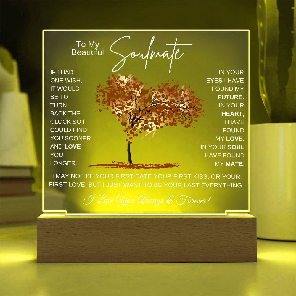 TO MY SOULMATE LED NIGHT LIGHT UP LAMP ACRYLIC PLAQUE