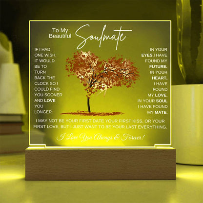TO MY SOULMATE LED NIGHT LIGHT UP LAMP ACRYLIC PLAQUE