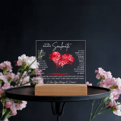 TO MY SOULMATE LED NIGHT LIGHT UP LAMP ACRYLIC PLAQUE
